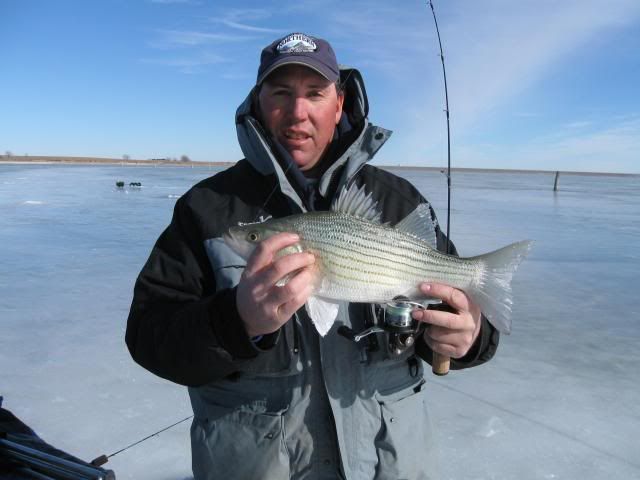 kansas crappie ass Kansas crappie ass